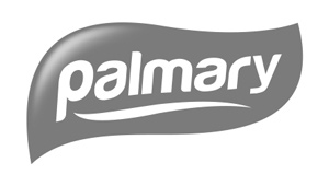 palmary logo